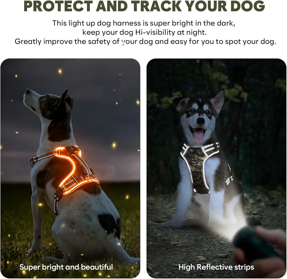 هارنس LED قابل شارژ برای سگ‌ها سایز Light Up Dog Harness. XS