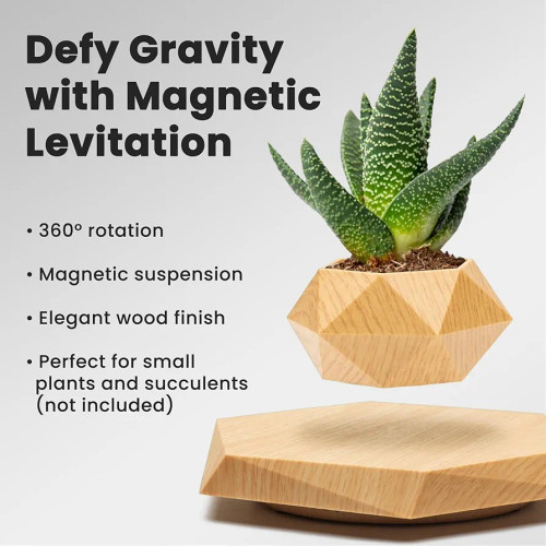 گلدان شناور مغناطیسی مدل Levitating Plant Pot